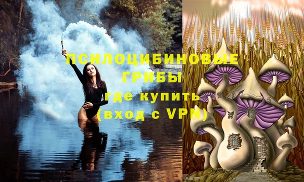 круглые Аркадак